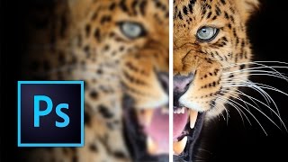 How to Sharpen Images in Photoshop [upl. by Amyaj]