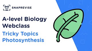 Alevel Biology Tricky Topics Photosynthesis [upl. by Girhiny]