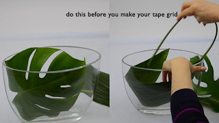 Ikebana tips by Junko 22 Its clearly creative [upl. by Gnat]