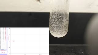 Ammonium chloride and water [upl. by Elehcar]