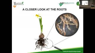 Jozsef Racsko The use of mycorrhizal fungi in horticulture [upl. by Eonak]