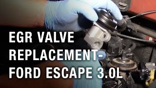 EGR Valve Replacement  Ford Escape 30L [upl. by Nossila]