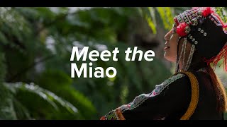 Meet the Miao [upl. by Neu]