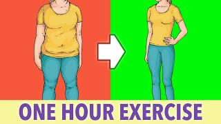 Full Body Fat Burn One Hour Exercise At Home [upl. by Aitsirhc]