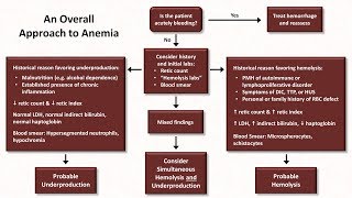 Anemia Lesson 5  An Approach to Diagnosis [upl. by Accalia351]