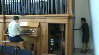 Handpumped Pipe Organ [upl. by Dranyam]