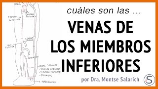 Las venas de los miembros inferiores [upl. by Whitten]