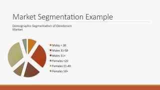 Market Interpretation Segmenting and Targeting [upl. by Anitnamaid771]