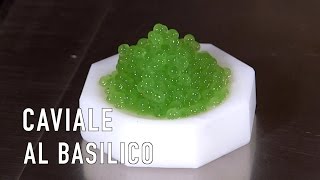 NUOVO METODO Caviale al basilico  Texturas [upl. by Akinar]