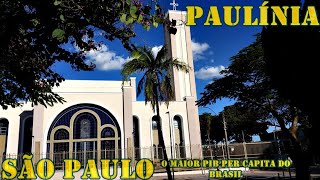 PAULÍNIA  SP CONHEÇA A CIDADE DE PAULÍNIA OS PRINCIPAIS DADOS DO MUNICÍPIO [upl. by Anelrihs]