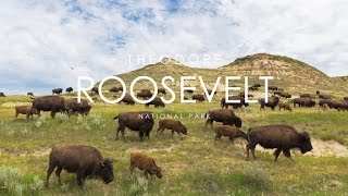 Theodore Roosevelt National Park  North Dakota [upl. by Picco686]