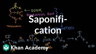 Saponification  Base promoted ester hydrolysis  MCAT  Khan Academy [upl. by Ashling]