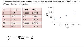 Cinética Enzimática  Diagrama de LineweaverBurk  Ejemplo [upl. by Notnerb]