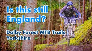 Is this best Yorkshire has  Dalby Forest Trail Guide [upl. by Elraet506]