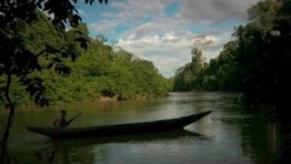 Stranger in the Forest quotFirst Contactquot in the Amazon [upl. by Haleeuqa676]