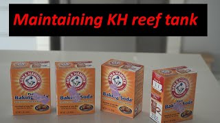 Dosing Kh in reef tank using Soda powder or Soda ash [upl. by Groveman986]