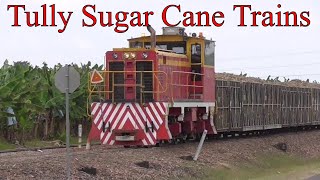 Tully Sugar Narrow Gauge Cane Trains 2 Ft Gauge Diesel Locos North Queensland Railway Australia [upl. by Ellessig246]