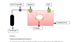 Flame Ionization Detector  FID [upl. by Annairdua]