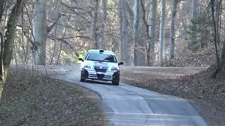 Rebenland Rallye 2019 Fritz KrumpManuel Brandner [upl. by Eirek941]