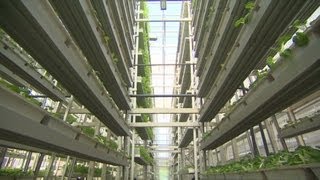 Vertical farms solve land problem [upl. by Isidora160]