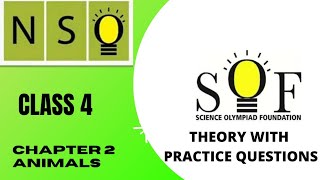 Class 4 olympiad  NATIONAL SCIENCE OLYMPIAD EXAM 2021 NSO CHAPTER 2 [upl. by Yarw]