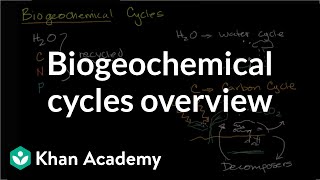 Biogeochemical cycles  Ecology  Khan Academy [upl. by Kyre757]