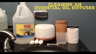 Essential Oils Diffuser Recipe using Peppermint Essential Oil [upl. by Hakceber520]