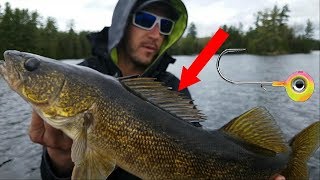 The ONLY Technique You Need  Ontario Walleye Fishing [upl. by Keegan891]