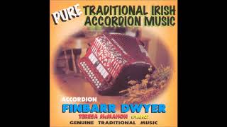 Finbarr Dwyer  Pure Traditional Music of Ireland  Irish Accordion [upl. by Aaberg]