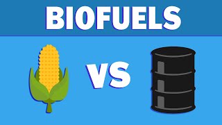 What are Biofuels and Where are They Going [upl. by Aowda]