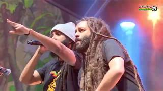 ALBOROSIE amp Shengen Clan ft DUANE STEPHENSON amp members of THE WAILERS live  Main Stage 2018 [upl. by Sigismond449]