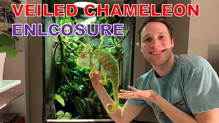 My Veiled Chameleon Enclosure  Check Out His Setup [upl. by Eilrebmik]