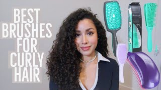 Best Detangling Brushes for Curly Hair [upl. by Stacee]