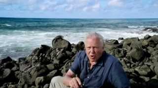 Galápagos with David Attenborough [upl. by Sandy237]