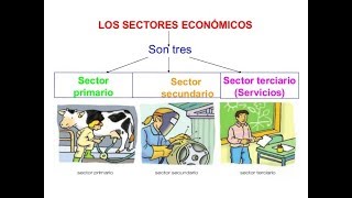 Sectores económicos [upl. by Doll]