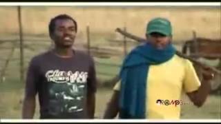 Hawi Tezera  Abichu New Oromo Music 2013 [upl. by Pitchford]