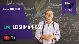 Leishmaniose Parasitologia  EP 4  Biokrill Series [upl. by Ringler979]