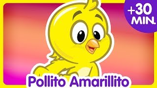 POLLITO AMARILLITO  Compilado de Clips 30 min  Canciones infantiles de la Gallina Pintadita [upl. by Sairtemed203]