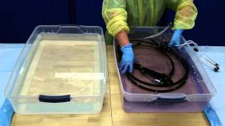 Flexible Endoscope Reprocessing  Disinfection [upl. by Yracaz]