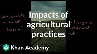 Impacts of Agricultural Practices Land and water use AP Environmental science Khan Academy [upl. by Eirameinna]