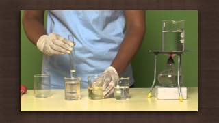 Esters  Hydrocarbons  Chemistry [upl. by Ydniw]