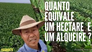 QUANTO EQUIVALE 1 HECTARE E 1 ALQUEIRE [upl. by Seadon71]