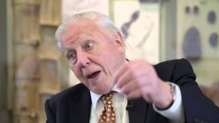 David Attenborough on religion and evolution coexisting [upl. by Ahsetra]