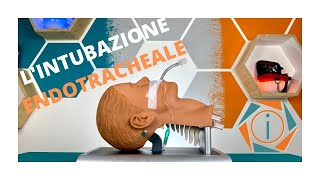 LINTUBAZIONE ENDOTRACHEALE  LE VIE AEREE  INFERMIERI online [upl. by Stanton]