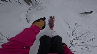 JAPOW  NISEKO JAPAN SKIING  GOPRO POV [upl. by Ssyla274]