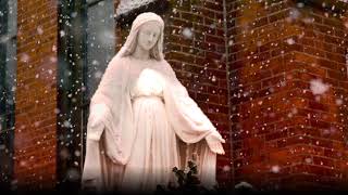 Immaculate Mary w lyrics  Catholic Hymn [upl. by Paviour740]