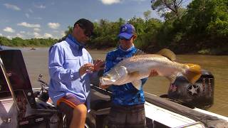 IFISH Daly River Northern Territory Barramundi [upl. by Elmira]