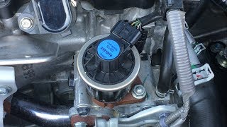 Honda EGR Valve Cleaning DIY [upl. by Cavil]