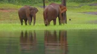 Thekkady Tourist Destination [upl. by Sucramrej]