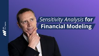 Sensitivity Analysis for Financial Modeling [upl. by Yartnoed]